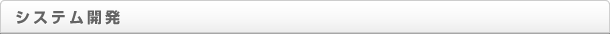 システム開発